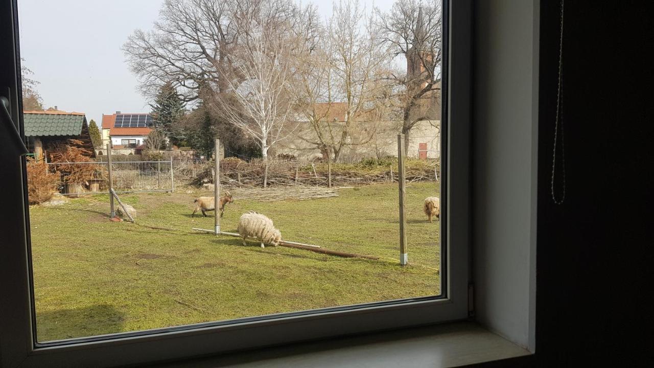 Zimmervermietung Zahn Baalberge 外观 照片